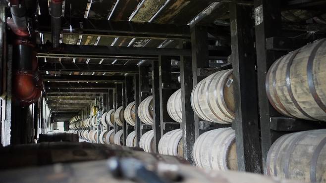 7층 높이 숙성고 가운데 1층에서 숙성 중인 오크통. /유진우 기자