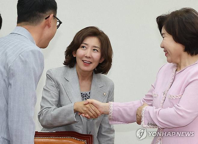 저출생대응특위 참석하는 나경원 의원 (서울=연합뉴스) 김주형 기자 = 국민의힘 나경원 의원이 14일 오후 국회에서 열린 저출생대응특별위원회 제1차 전체회의에서 참석자들과 인사하고 있다. 2024.6.14 kjhpress@yna.co.kr