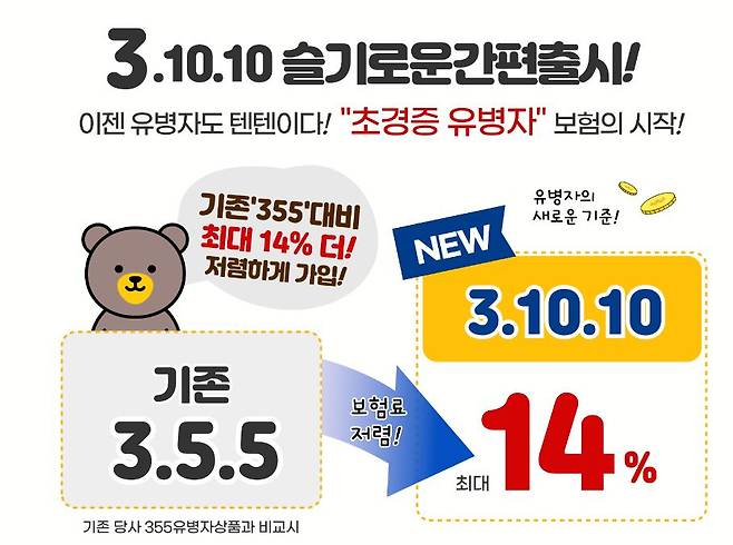 KB손해보험이 지난달 출시한 유병자 보험 상품과 관련한 홍보물. /독자제공