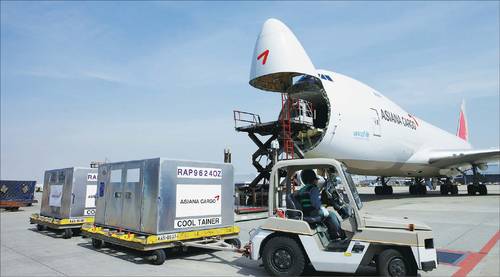화물 전문 항공사 에어인천이 아시아나항공 화물사업부의 우선협상대상자로 내정됐다. 에어인천보다도, 에어인천의 숨겨진 모회사 ‘인화정공’에 대한 관심이 더 쏠리고 있다. 사진은 아시아나항공 비행기에 화물을 적재하는 모습. (아시아나항공 제공)