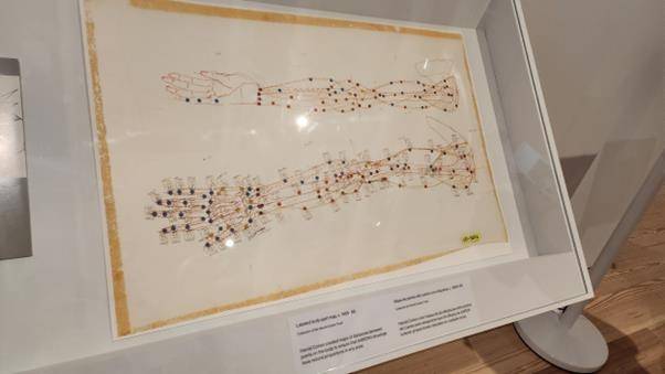 뉴욕 휘트니 미술관 아론 전시 이은준 교수 제공