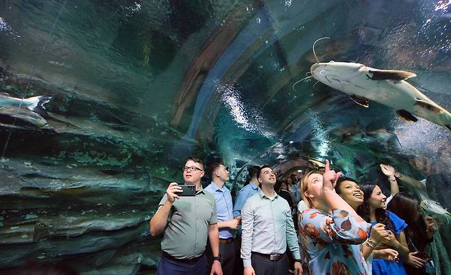 한국을 방문한 하나님의 교회 미국 청년들이 롯데월드 아쿠아리움을 관람하며 즐거워하고 있다.