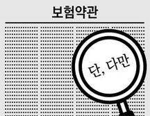 보험약관 이미지. /조선DB