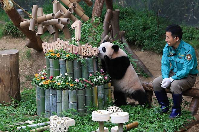 강철원 할부지 등 에버랜드 사육사들이 만들어준 판다 생일 케이크와 돌잡이 물건들