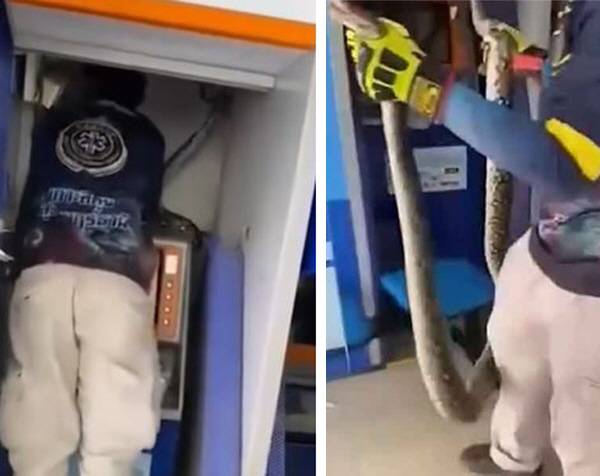 사진출처=카오소드 뉴스, 가이시트 구조대 SNS