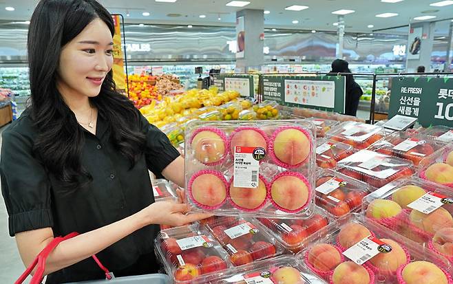 롯데마트는 18일부터 복불복 없는 복숭아 선별을 위한 ‘신선을 새롭게 복숭아 캠페인’을 진행하고 AI가 선별한 ‘아삭한 복숭아’를
선보인다. AI가 품질관리를 진행해 어느 제품을 골라도 흠결 없는 복숭아를 맛볼 수 있다는 설명이다. 롯데마트 제공