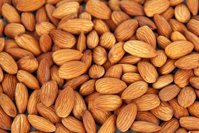 아몬드/사진=클립아트코리아