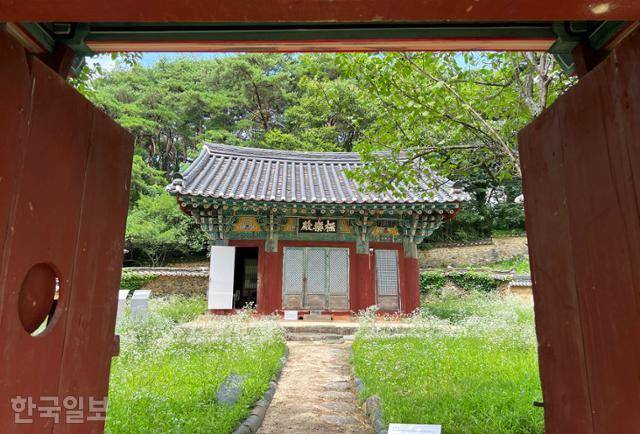 실상사 극락전 마당에 개망초가 하얗게 꽃을 피웠다.