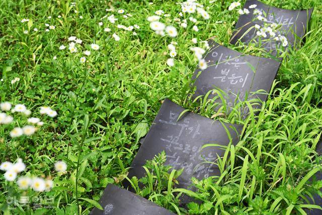 개망초가 하얗게 핀 극락전 마당. 작품명 '돌꽃길'이다.