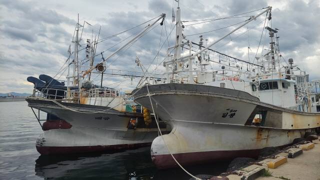 요즘 강릉 주문진항에는 대형 오징어 채낚기 어선이 조업을 하지 않고 정박해 있는 모습을 쉽게 볼 수 있다.