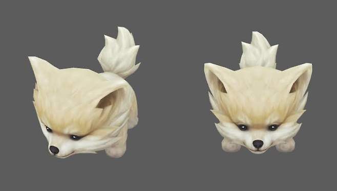 - 구마유시 애완견 둥이