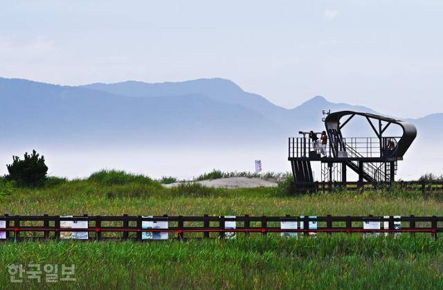 다대포해수욕장 바로 옆 습지에는 고우니생태길이 조성돼 있다.