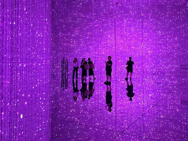 팀랩 슈퍼네이처.