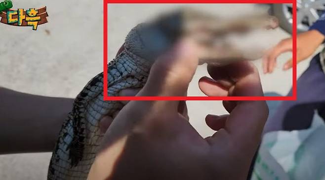 (사진='다흑' 유튜브 영상 캡처)