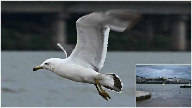 초당 30매 연속촬영 결과물 1:1 확대. (사진=지디넷코리아)