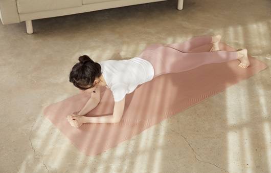 플랭크|출처: 클립아트코리아