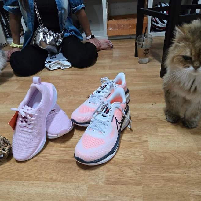 0490f719b7826af23ee787e72981776883c662952973142839289bc7a2aae18d09654cd27f94d0