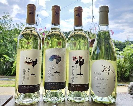 264청포도와인. 세상의 어떤 시는 술을 낳기도 한다.