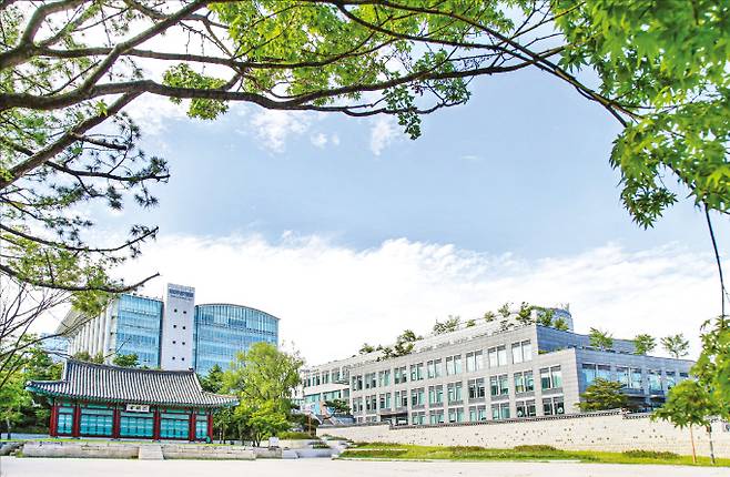 성균관대 캠퍼스 전경. 성균관대 제공