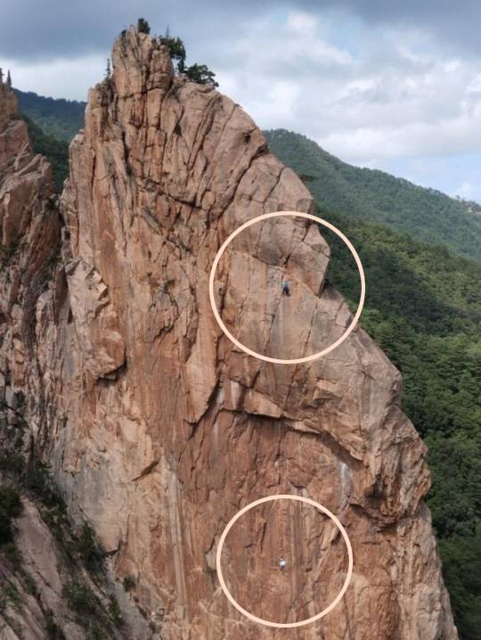 등산객 구조 중인 환동해특수대응단 산악구조대. 환동해특수대응단 제공