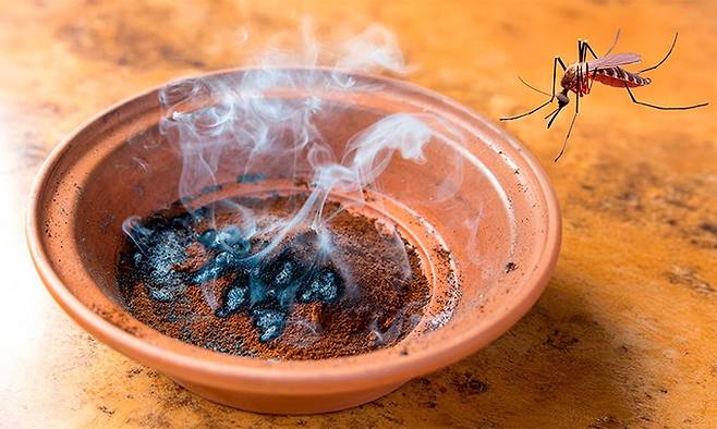 커피 찌꺼기를 태우면 모기를 없앨 수 있을까. 적어도 연기로 인해 모기를 쫓는 효과가 있는 것으로 추정된다. 글로벌 뉴스 웹사이트 ‘더 저널’(The Journal)