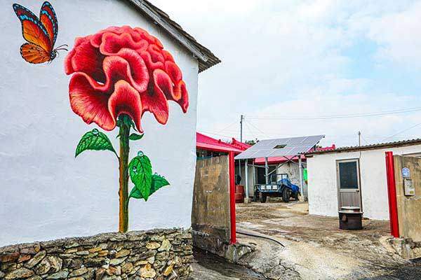병풍도의 여름은 맨드라미. 섬 구석구석이 맨드라미와 어우러지는 색깔로 장식된다.