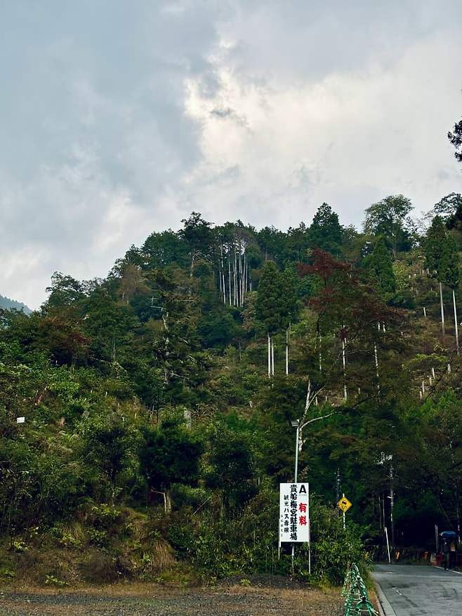 1e93ff11da8068f43aef8fe442ee756ee3e92565269e388af02f2e8147b8a2ee3dee50a1278efaa174