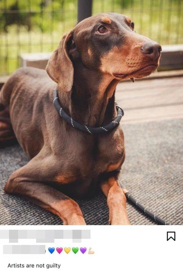 사진=정국 반려견 SNS