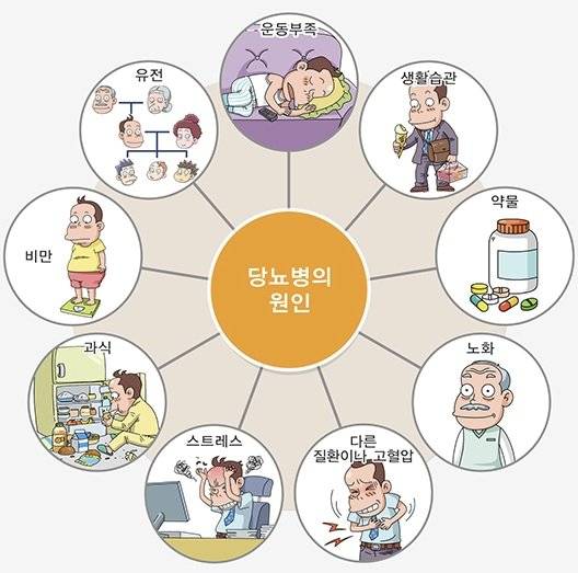 당뇨병 원인. 사진 질병관리청