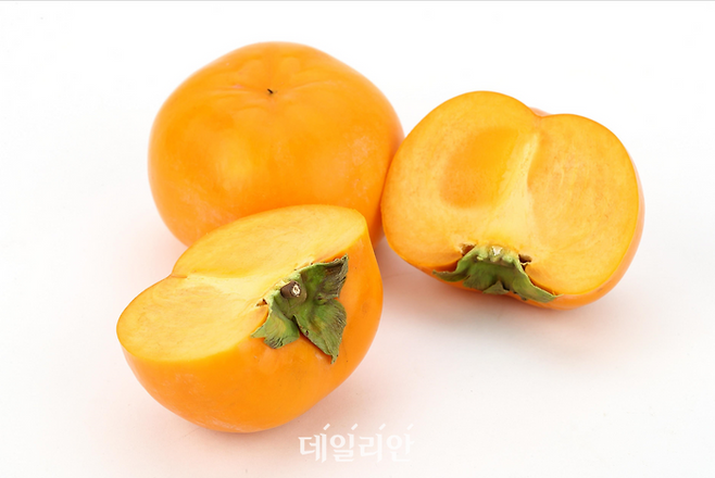 농진청 개발 신품종 단감 중 감풍. ⓒ농촌진흥청