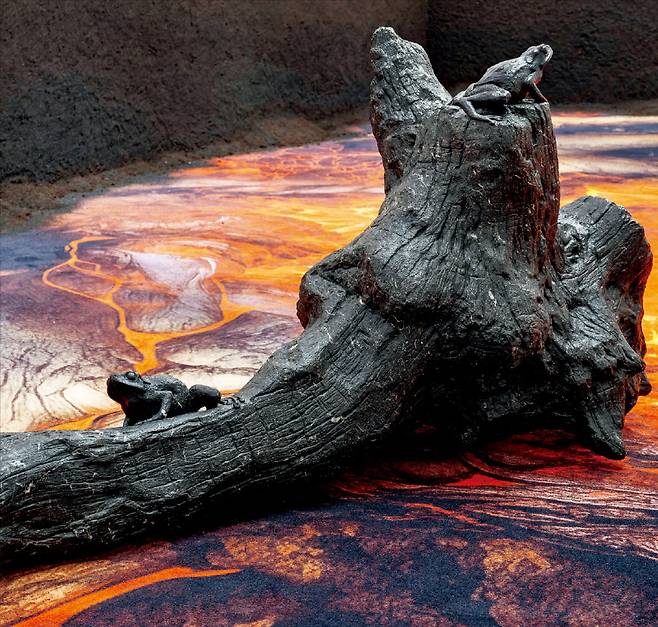 경기 과천시 K&L뮤지엄에서 열리는 클라우디아 콤테의 ‘재로부터의 부활: 재생의 이야기’. K&L뮤지엄 제공