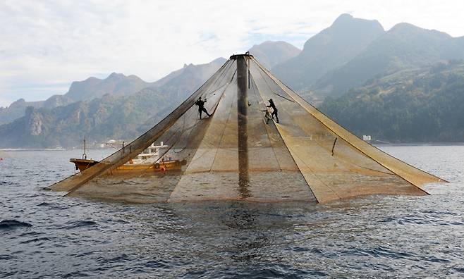 울릉군이 울릉도독도해양연구기지에 위탁 운영한 외해 심해 가두리시설물 ⓒ울릉군 