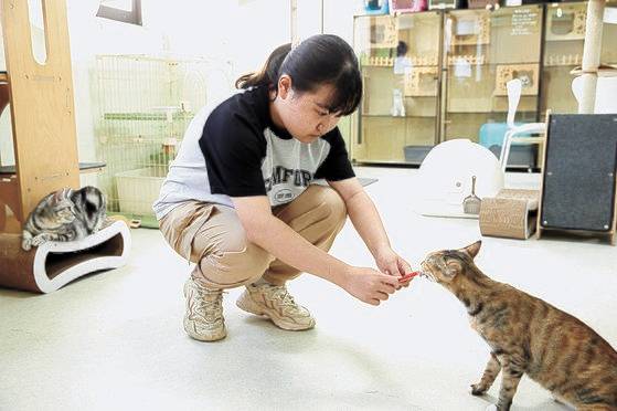 간식으로 고양이와 교감하는 시간을 가진 민하 학생기자.