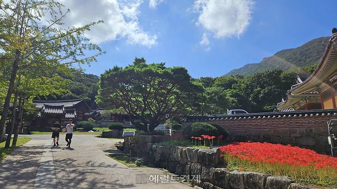 해남 대흥사 전경