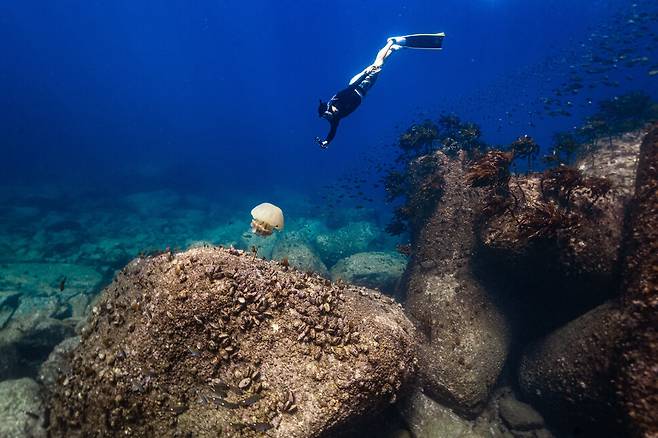 프리다이빙 강사 이준호씨가 지난달 울릉도 앞바다에서 프리다이빙을 하는 모습. 이준호 제공