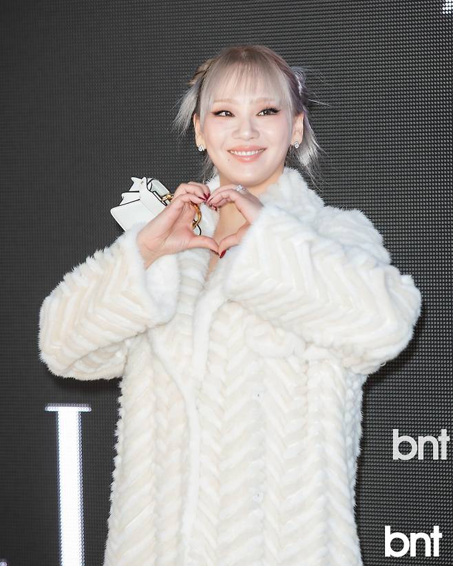 엘르 스타일어워즈, 투애니원 씨엘