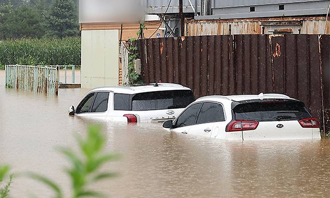 경기 북부 지역에 호우 특보가 내려진 지난 7월 18일 경기 파주시 월롱면의 한 컨테이너 제작공장이 침수돼 주차된 차량이 물에 잠겨 있다. 뉴스1