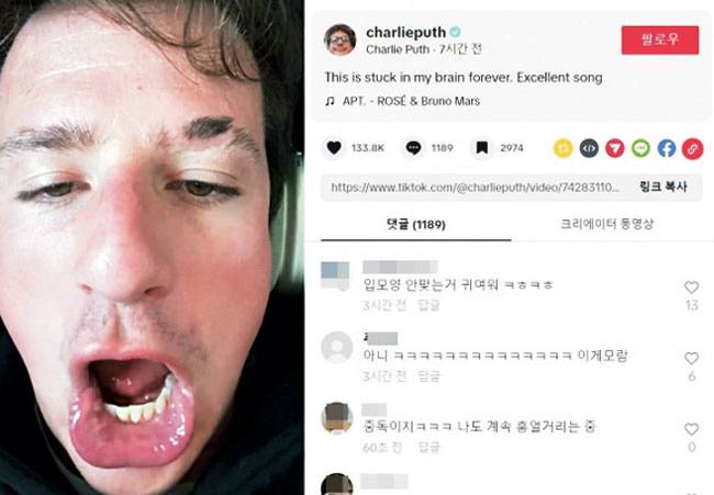 팝스타 찰리 푸스 틱톡계정.