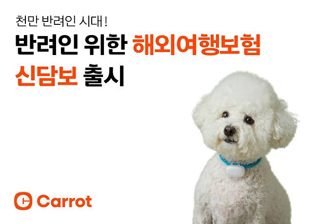캐롯손해보험