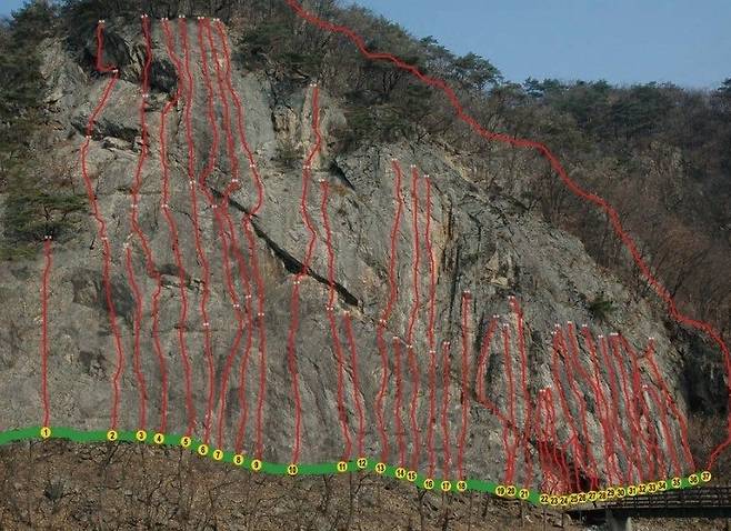 (온라인 커뮤니티 갈무리)