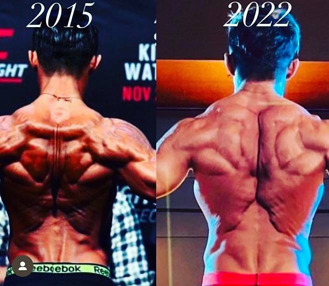 추성훈의 2015년, 2022년 등 근육 모습./사진=추성훈 SNS