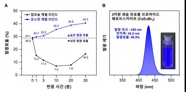 (A)그림은 두 가지 브로민계 유기 리간드 전구체를 사용해 합성한 유로퓸 페로브스카이트의 반응 시간에 따른 발광효율을 나타낸다. (B)그림은 높은 색순도와 발광효율을 갖는 3차원 세슘 유로퓸 브로마이드 페로브스카이트.