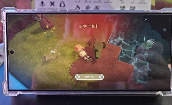 - 컷