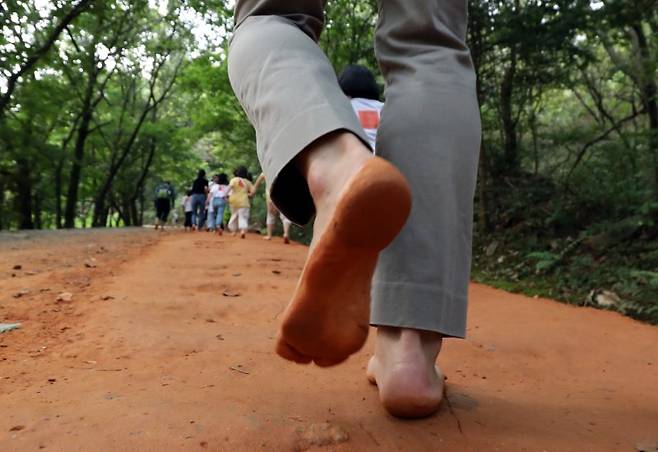 '맨발걷기' 명소로 유명한 대전 계족산 황톳길. 사진=연합뉴스