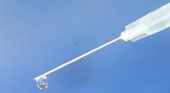 (이미지=연합뉴스)