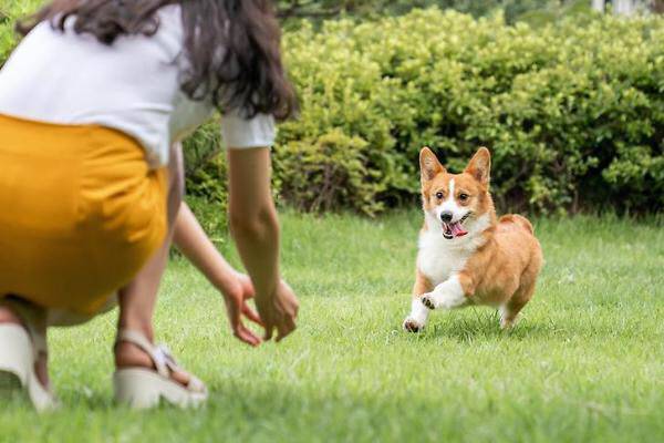 (사진=게티이미지뱅크)