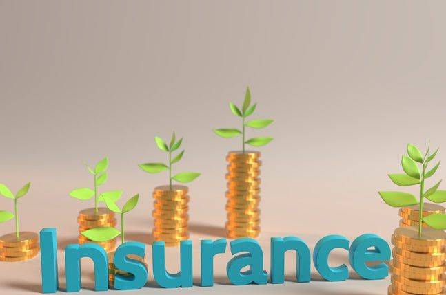 보험료 이미지. ⓒ게티이미지뱅크
