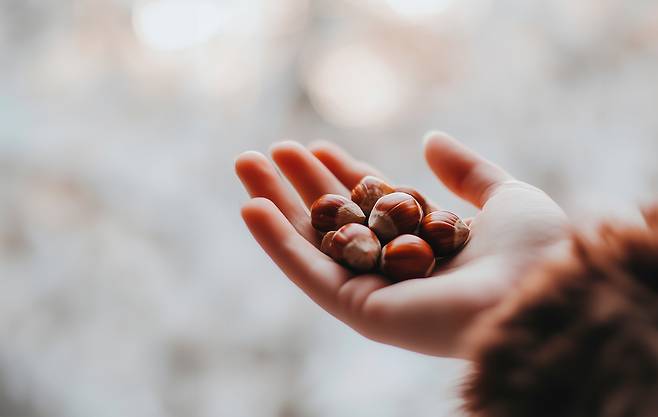 클립아트코리아