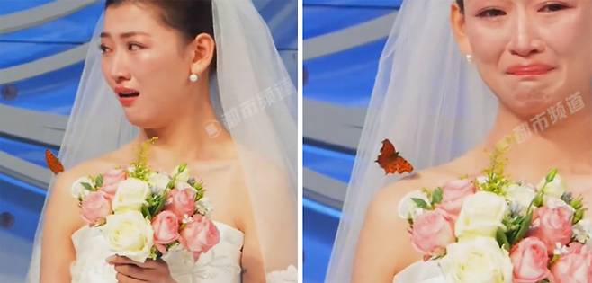 사진출처=더우인