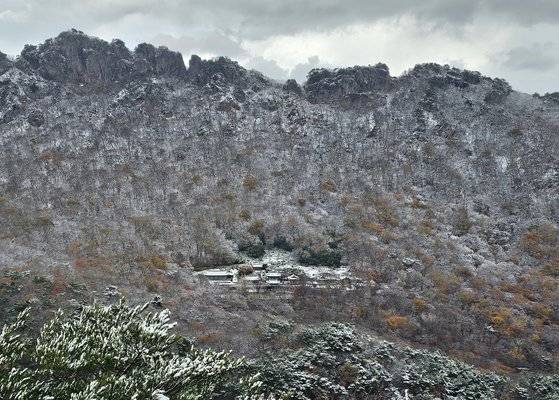 내장산은 누가 뭐래도 단풍산이다. 그러나 겨울 설경도 가을에 뒤지지 않는다. 올해는 첫눈이 빨랐다. 단풍이 채 지지 않은 지난달 27일 눈이 쏟아져 이채로운 풍광을 만났다. 전망대에서 드론을 띄워 서래봉과 벽련암이 어우러진 모습을 담았다.